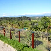 Criadouro-Onça-Pintada2-e1606330862654.jpg