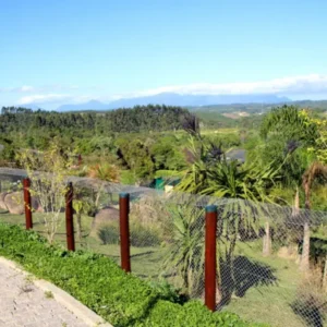 Criadouro-Onça-Pintada2-e1606330862654.jpg