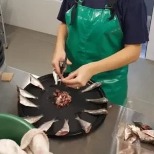 67838370_2313874565356669_5848497215101730816_n-e1599678259390.jpg