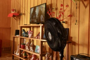 Copia-de-141-IMG_4463-scaled