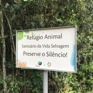 Design-sem-nome-22.png