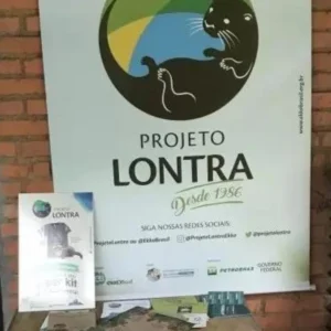 Design-sem-nome-24.png