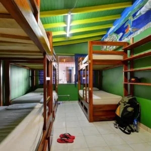 Foto1.jpg