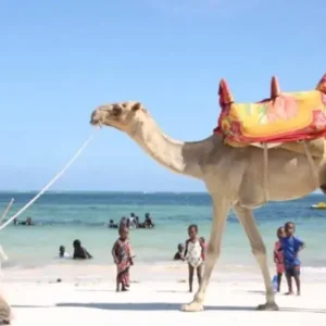 Mombasa-e1662063489309.jpg