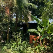 acomodacao-instituo-ekko.jpg