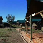 csm_African_Wildlife_Experience_01_2945208bab.jpg