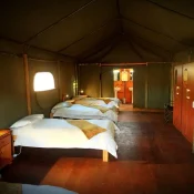 csm_African_Wildlife_Experience_02_4d0b544c99.jpg