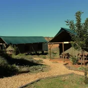 csm_African_Wildlife_Experience_03_f42078f78b.jpg