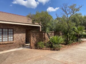 conservacion-del-guepardo-acomodacion1