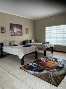 conservacion-del-guepardo-acomodacion10