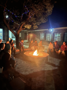 conservacion-del-guepardo-acomodacion11