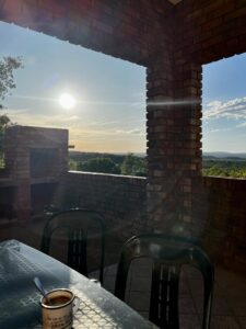 conservacion-del-guepardo-acomodacion13