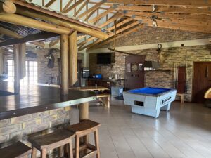 conservacion-del-guepardo-acomodacion14