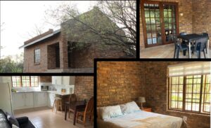 conservacion-del-guepardo-acomodacion2