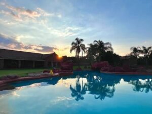 conservacion-del-guepardo-acomodacion3