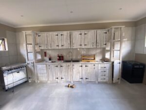 conservacion-del-guepardo-acomodacion6