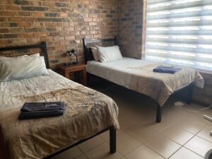 conservacion-del-guepardo-acomodacion7