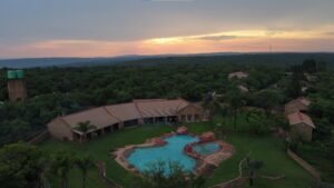 conservacion-del-guepardo-acomodacion8