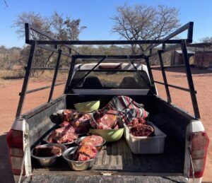 conservacion-del-guepardo4