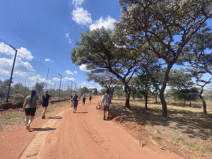 conservacion-del-guepardo7