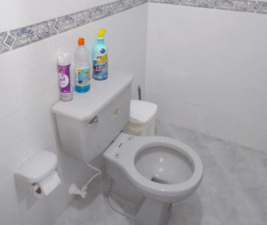 conservacionambientalalojamiento20