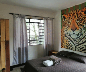 conservacionambientalalojamiento3