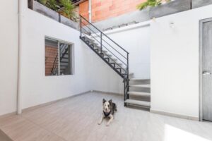 inmersion-in-medellin7