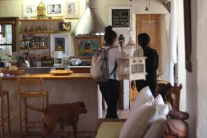 sonrisas-de-ciudad-del-cabo-alojamiento7