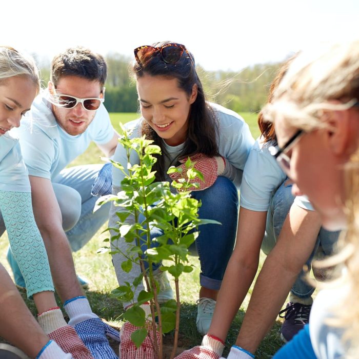 group-of-volunteers-planting-tree-in-park.jpg group-of-volunteers-planting-tree-in-park.jpg